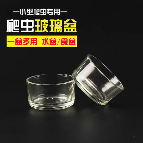 爬虫玻璃水盆高品质实用食盆爬宠蜥蜴守宫陆龟蛇蜘蛛蝎子食碗水碗