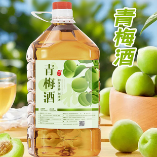 贵州青梅酒25度低度微醺青梅鲜果浸泡2.5L桶装约5斤散装青梅果酒