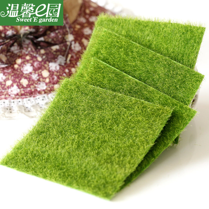 苔藓景观瓶装饰草坪苔藓假白发藓