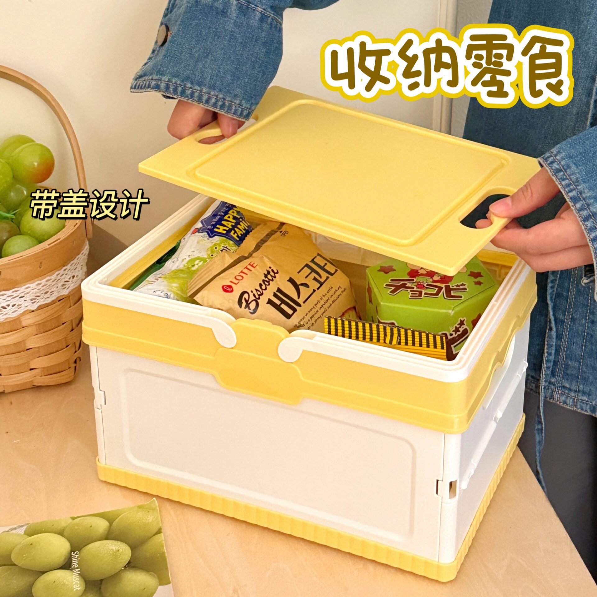 蓝车载露营可整理箱家用化妆品储