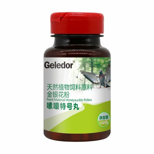 嗉囊炎鸽保健品格莱德积食不消化