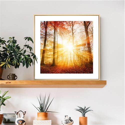 客厅沙发背景墙装饰画楼梯间挂画小众艺术餐厅卧室壁画秋天风景画,家居饰品,现代装饰画,淘宝优惠券,粉丝福利购,淘宝优惠卷