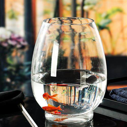 大号创意简约植物水培玻璃器皿透明花瓶办公室圆形生态小鱼缸摆件,家居饰品,花瓶,淘宝优惠券,粉丝福利购,淘宝优惠卷