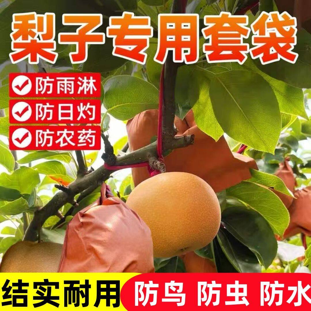梨子专用套袋秋月梨水果套袋果树袋黄桃芒果桃子纸袋防虫防鸟神器