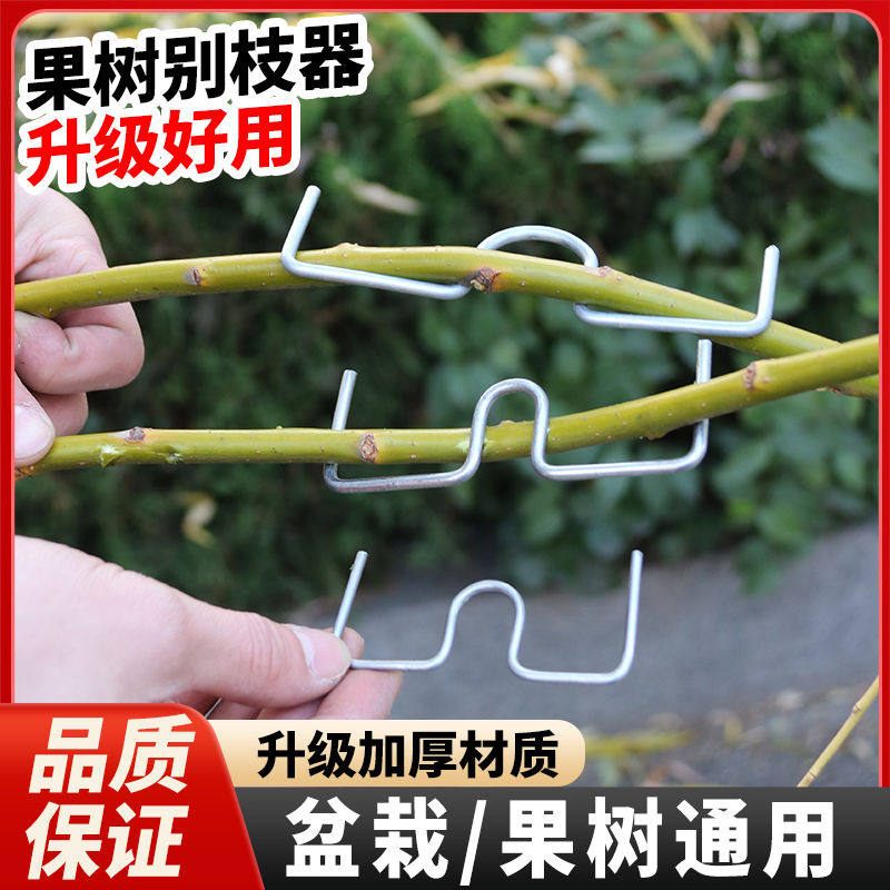 果树拉枝器定型器花卉月季压弯开角别枝神器苹果樱桃树m型拉枝器