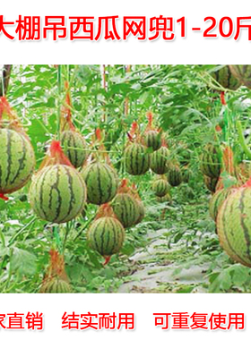 大棚吊西瓜网兜厚吊瓜挂瓜网袋子哈密瓜10斤红色带绳塑料网袋批发