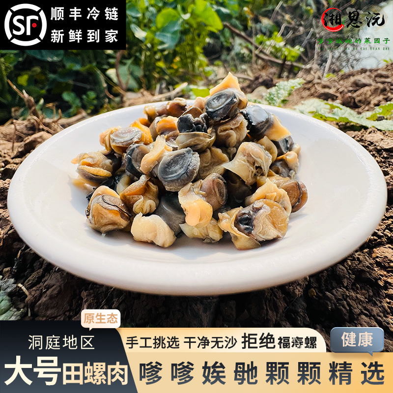 田螺肉螺丝肉新鲜螺蛳肉顺丰湖区