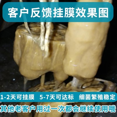 甘度微生物污水处理菌种复合硝化反硝化细菌厌氧好氧菌样品实验装 农用物资 污水处理菌剂 原图主图