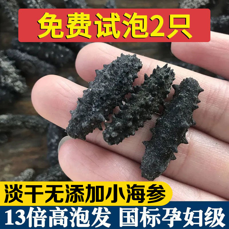 淡干小海参 小干海参大连野生 海参