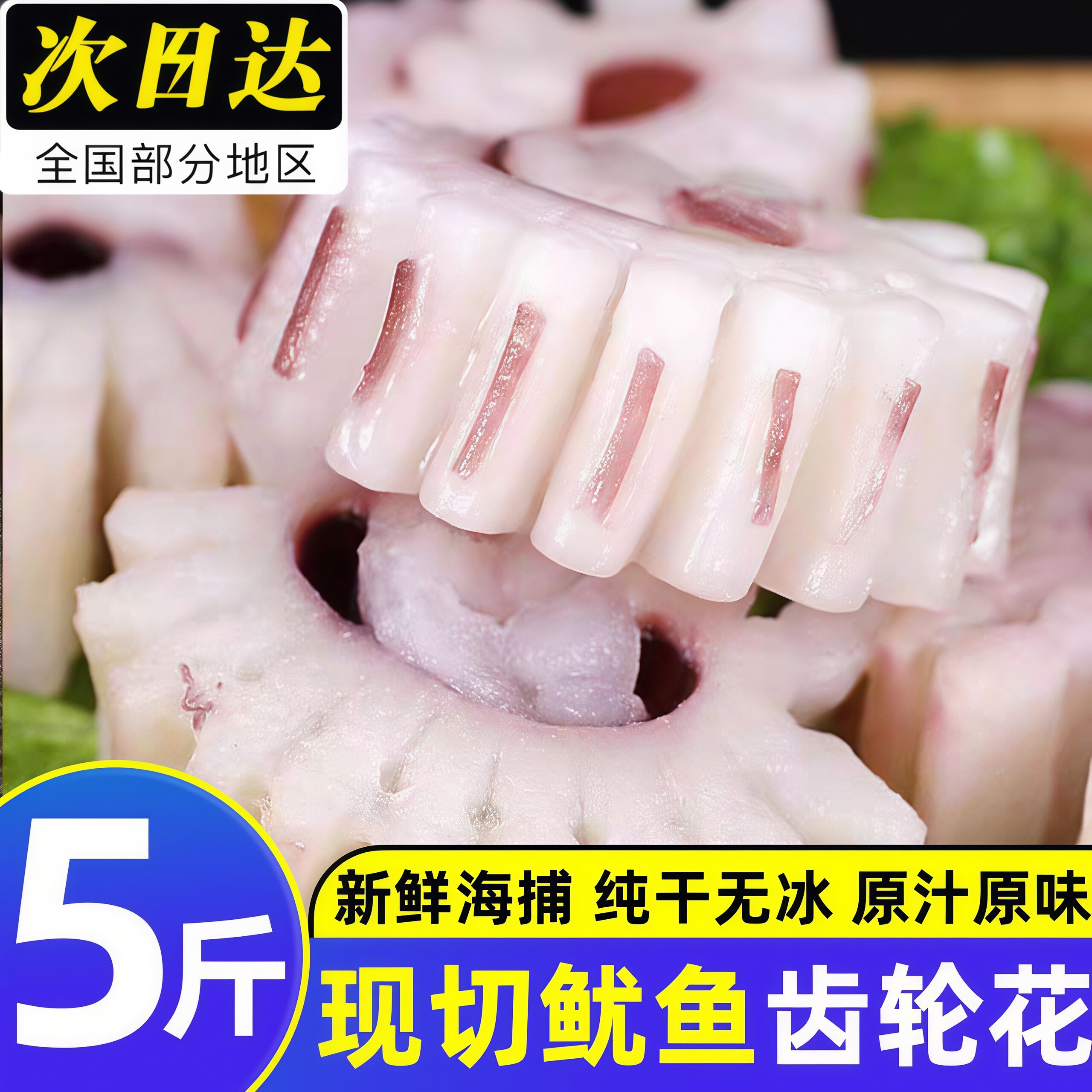 齿轮花鱿鱼新鲜冷冻无冰现切商用