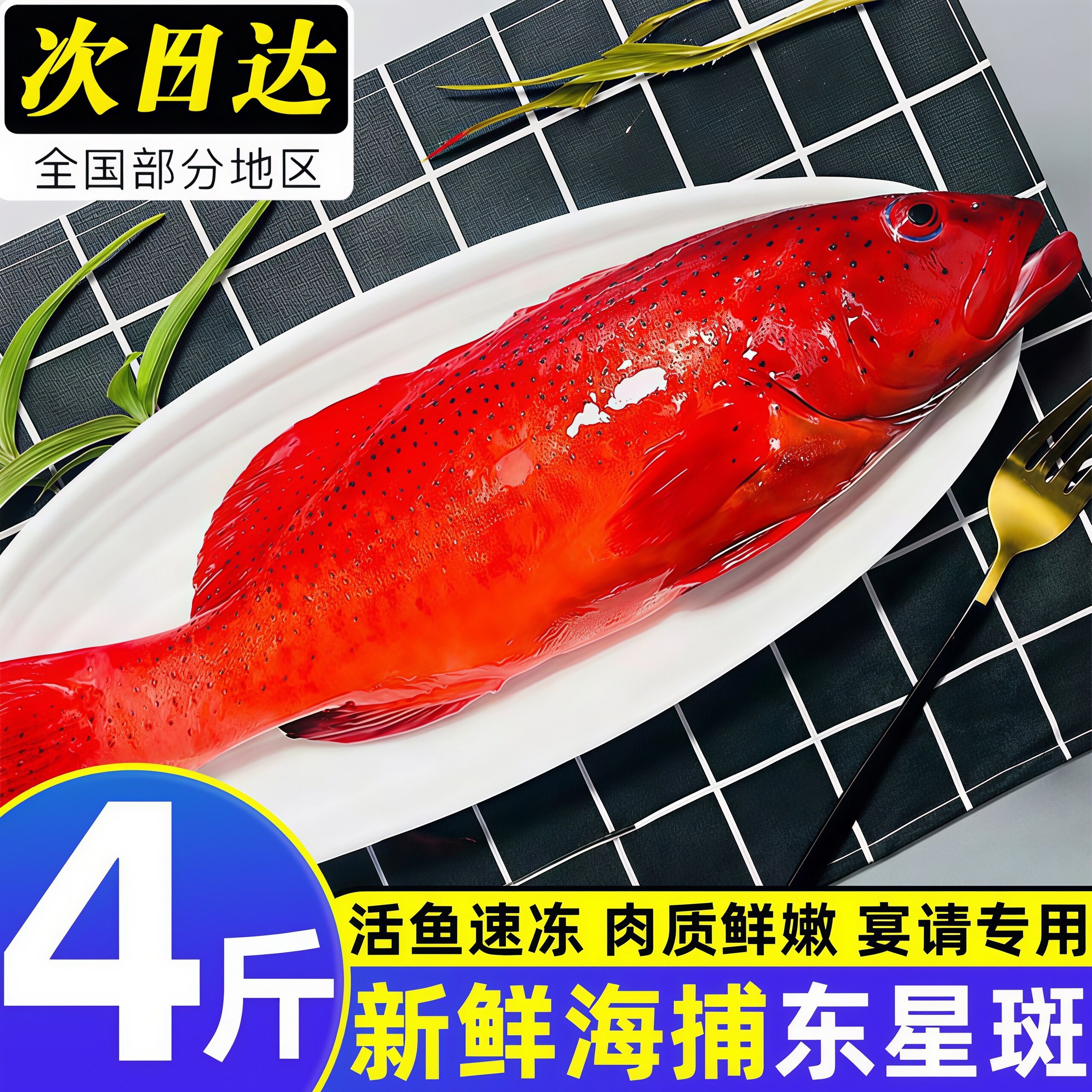 新鲜东星斑深海捕捞鲜活冷冻东星斑新鲜鱼海鲜冰鲜海鲜商用批发