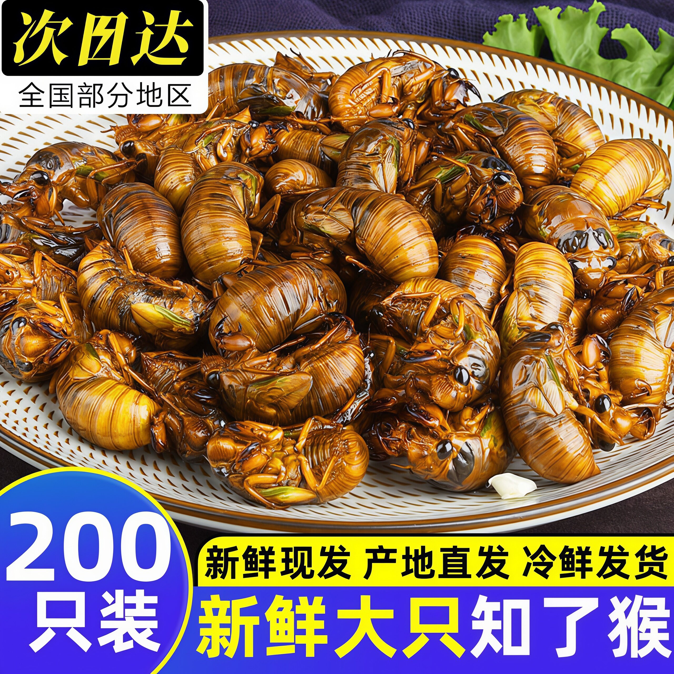 知了猴金蝉鲜活速冻商用