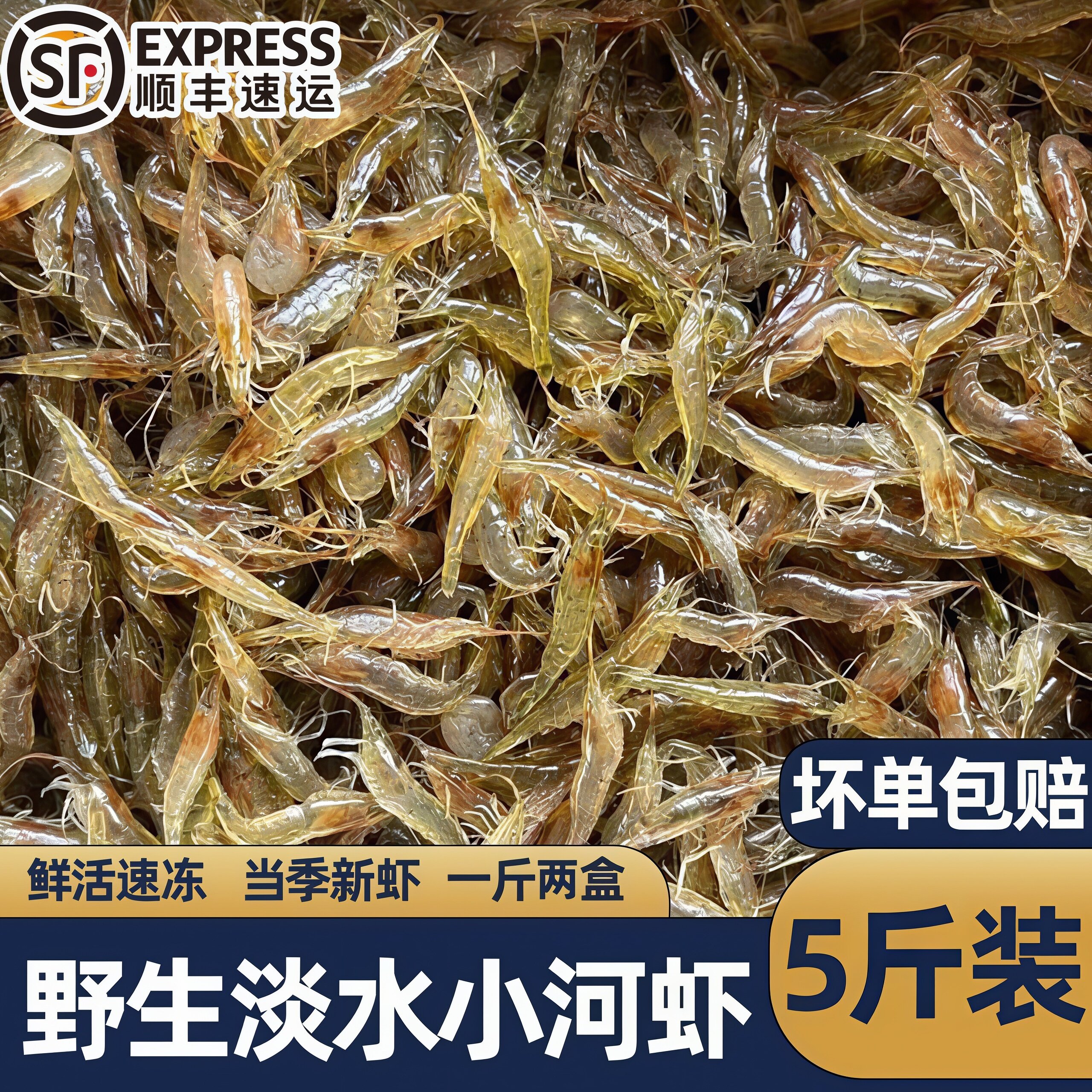 野生当季小河虾鲜活速冻商用批发图片