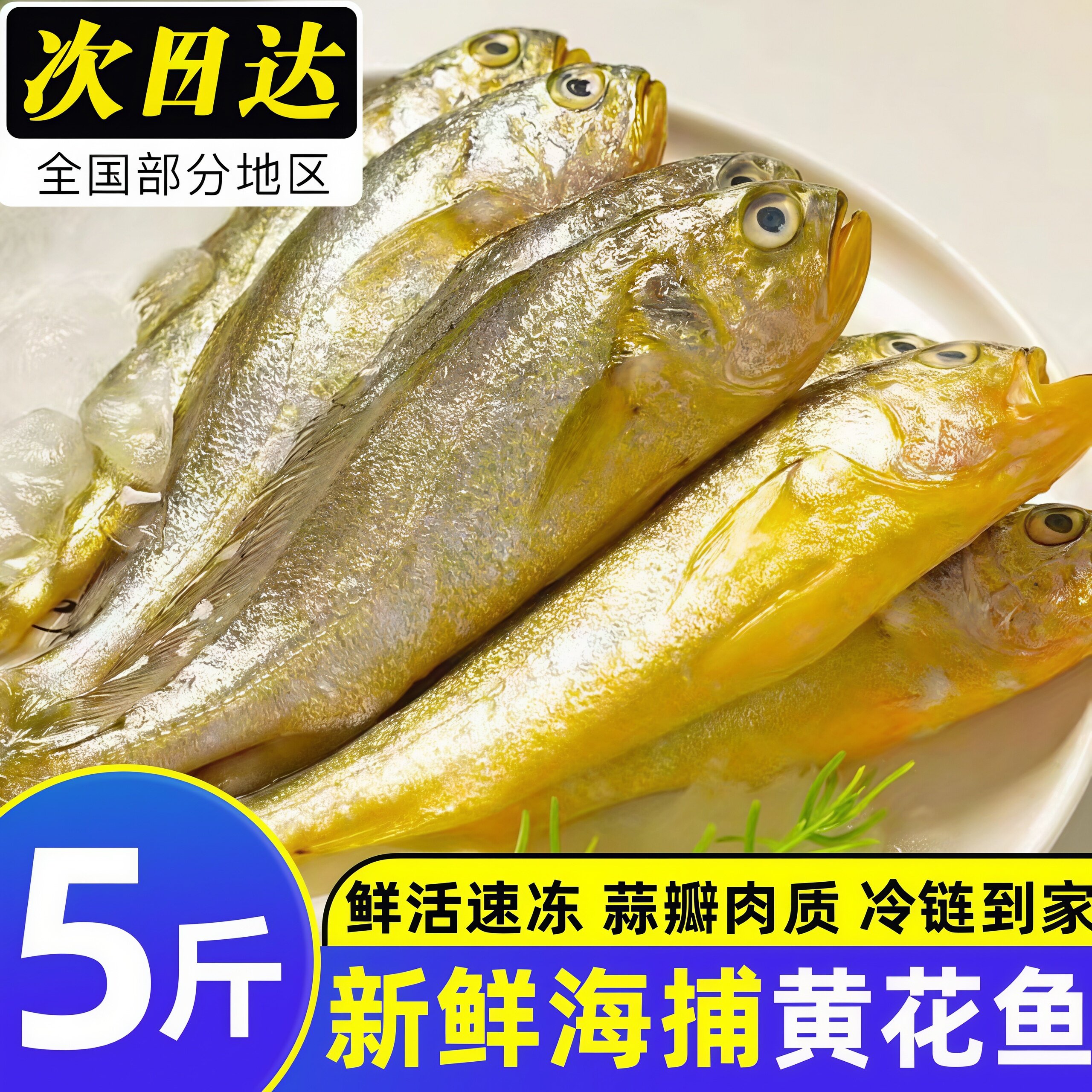 小黄花鱼当季新鲜海捕冷冻海鱼现捕小黄花海鲜水产黄鱼商用批发