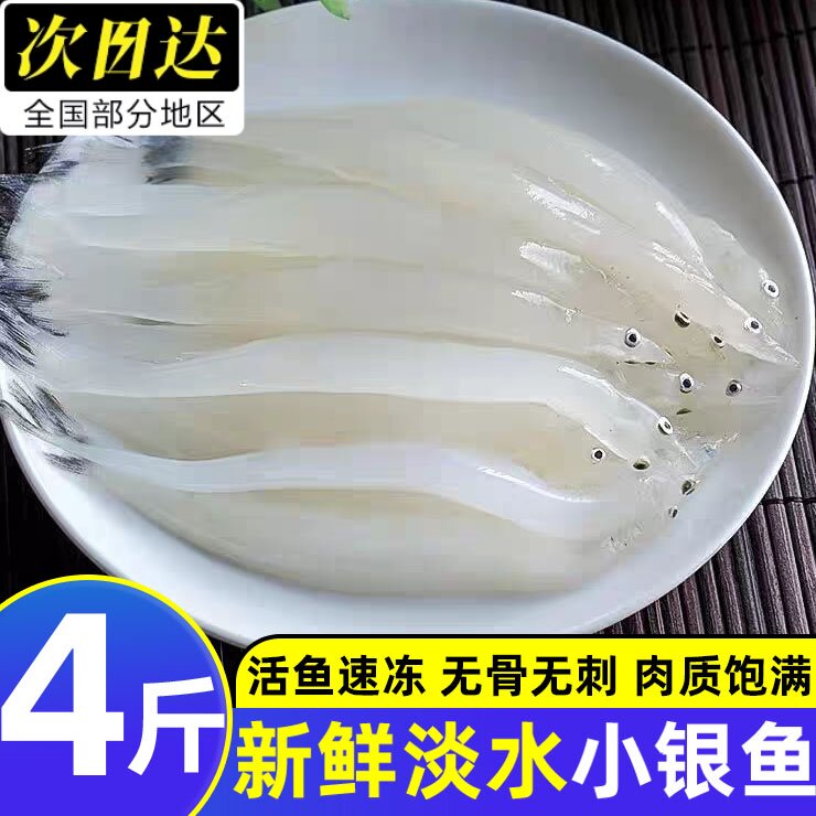 小银鱼新鲜鲜活冷冻淡水鱼银鱼