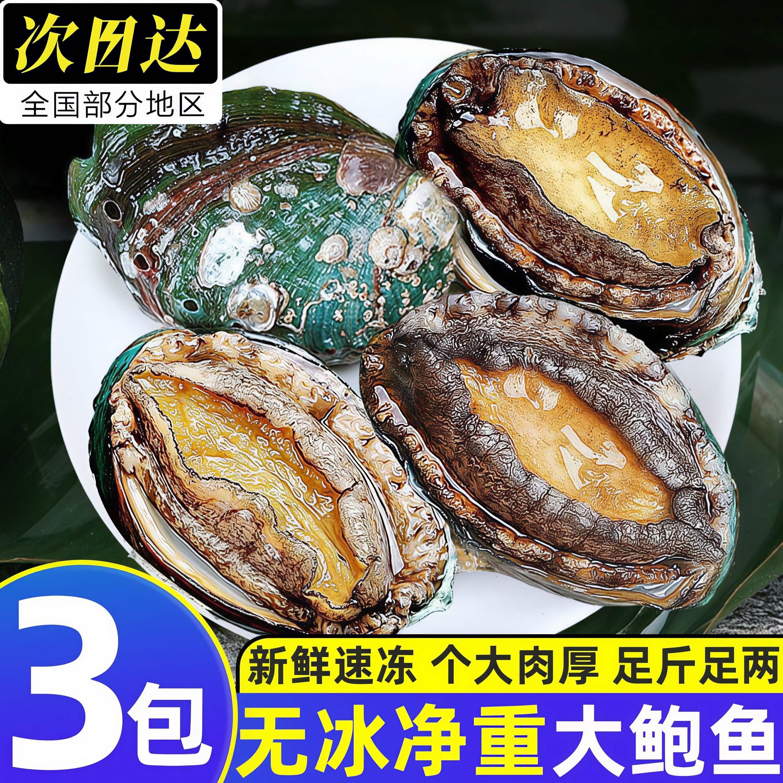 鲜活冷冻去壳去内脏大鲍鱼肉