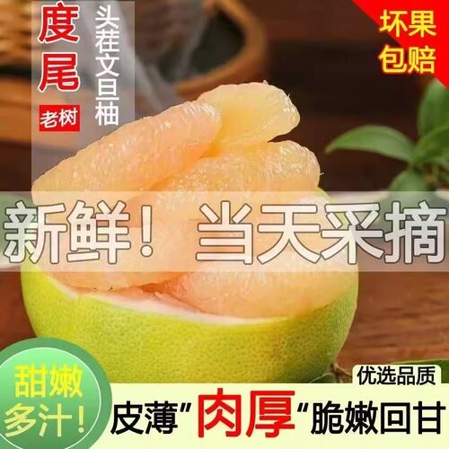 正宗文旦柚子仙游度尾福建莆田红心蜜柚孕妇新鲜水果青柚溪口红柚