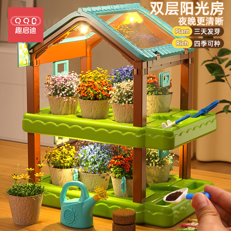 植物观察盒生长科学小实验套装阳光房种植儿童玩具益智男女孩礼物