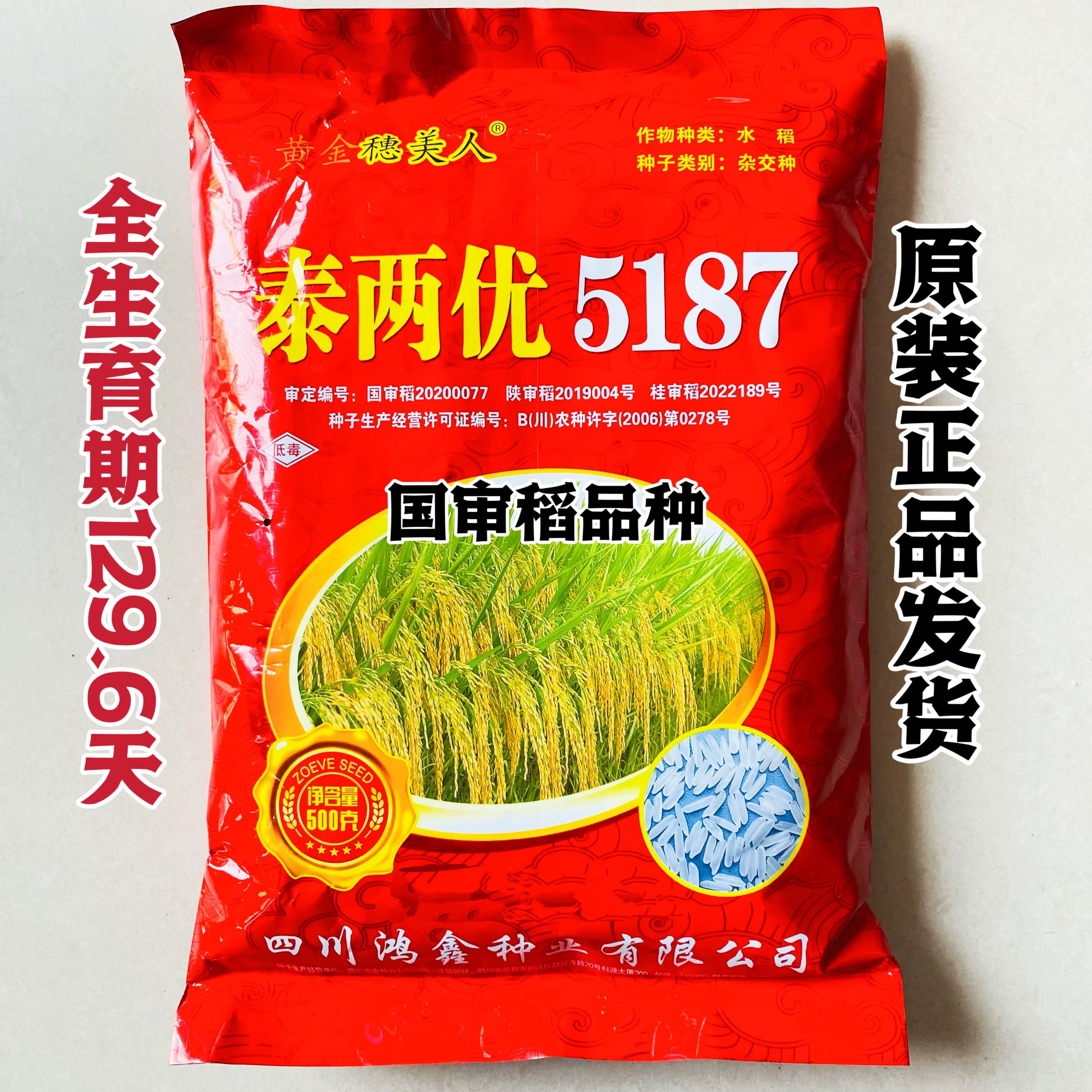 泰两优5187水稻种子长粒杂交稻种籽大穗高产稻谷种籽国审稻 正品