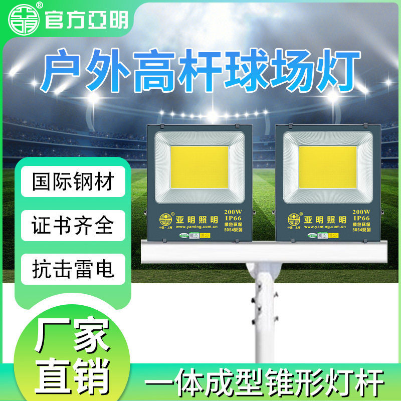 LED户外球场灯杆足球篮照