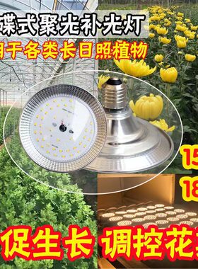LED植物补光灯花朵菊花鱼