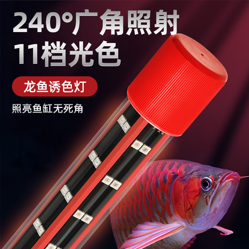 三基色神灯龙鱼专用增艳