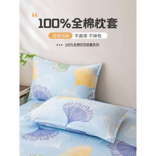 2025新款纯棉枕套一对装乳胶48cmx74cm枕头套全棉单个枕芯内胆套
