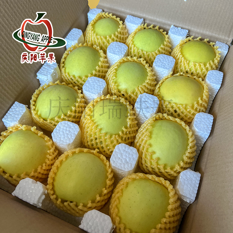 正宗甘肃庆阳苹果2025年瑞雪80mm基地直发青苹果纯甜无酸汁多脆爽