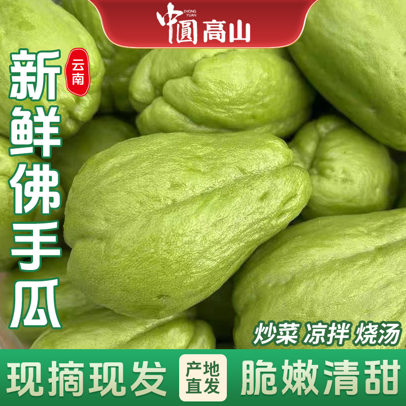 云南新鲜可食佛手瓜现摘农家佛瓜窝瓜洋丝瓜捧瓜自种当季新鲜蔬菜