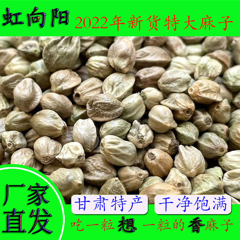 甘肃特产天水特大颗粒香新青麻子