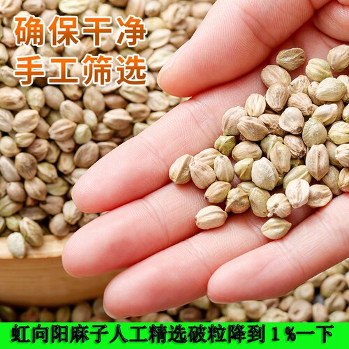 甘肃特产天水麻子零食炒熟大粒