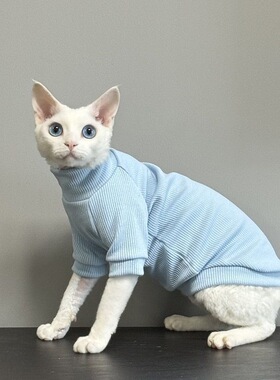 德文无毛猫斯芬克斯衣服夏季高弹舒适凉爽亲肤透气背心