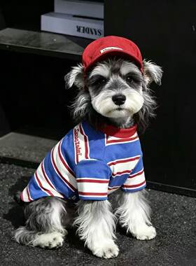 夏季透气薄款中小型犬带帽T恤