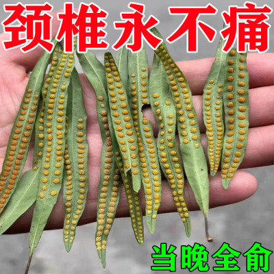再无颈椎【包冶好】颈部贴颈椎压迫脖子酸痛僵四肢麻头晕