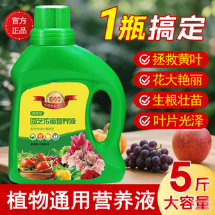 营养液植物通用型花肥家用盆栽发财树水培绿萝多肉养花卉绿植肥料