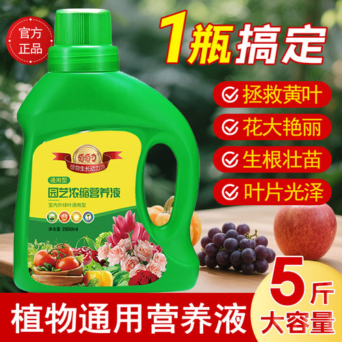 营养液植物通用型花肥家用