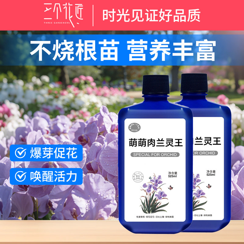 兰灵王兰花专用营养液肥料微生物菌剂多箭素君子兰蝴蝶兰营养液