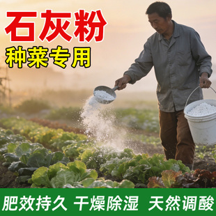 熟石灰粉种菜蔬菜专用改善土壤消毒农用菜地白灰粉种植蔬菜通用