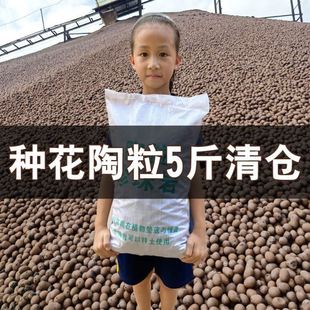 园艺陶粒垫底花盆垫底多肉10斤养花铺面石子水培透气花卉多肉