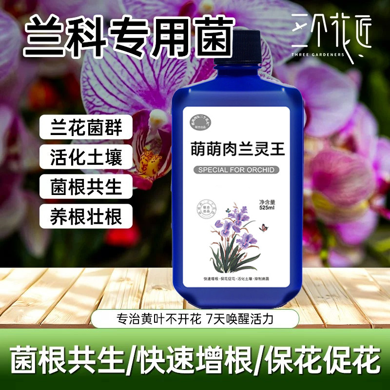 兰灵王专用营养液保花促花菌根共