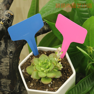 花卉标签园艺标签T型标签插地标签盆栽标签品种时间记载方便快捷