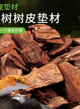 松树皮爬虫爬宠垫材陆龟森林地表树皮垫材蜥蜴蛇蟒守宫爬宠箱造景