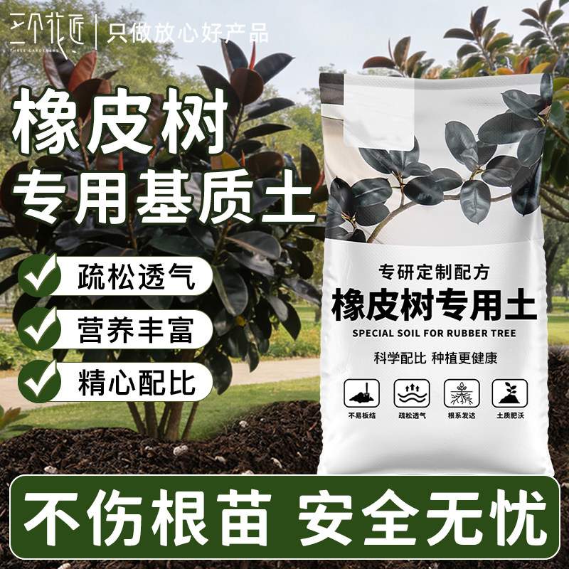 橡皮树专用有机营养土盆栽