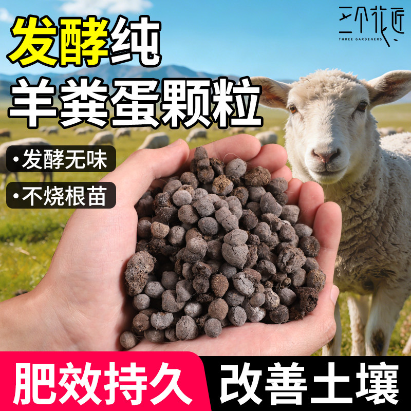 发酵纯羊粪蛋有机肥种菜蔬菜用养花卉专用肥料花肥羊粪蛋颗粒通用,鲜花速递/花卉仿真/绿植园艺,土壤覆盖物,淘宝优惠券,粉丝福利购,淘宝优惠卷