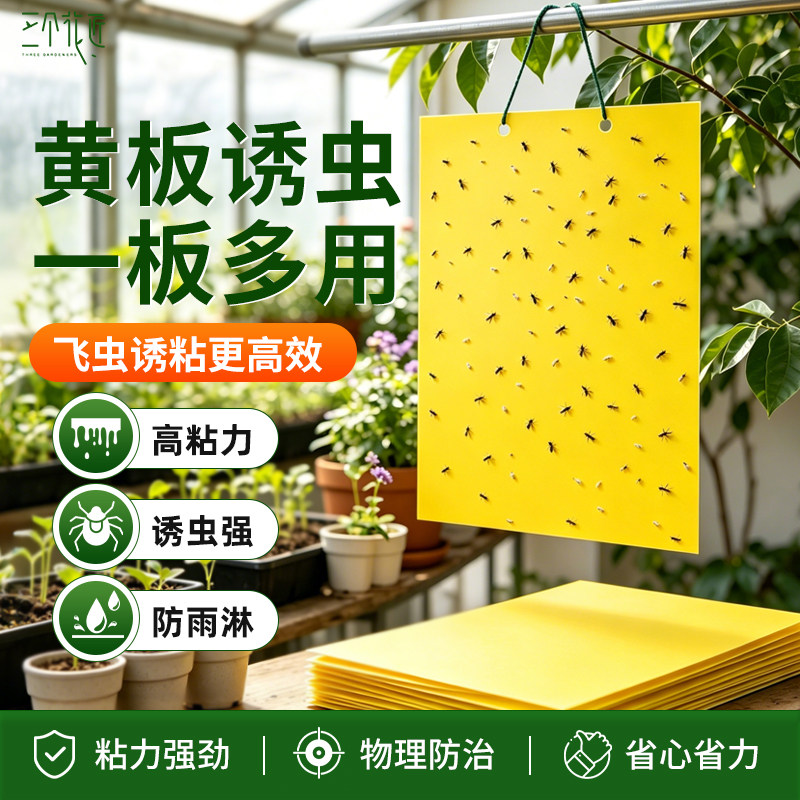 黄板双面粘虫板大棚果园苍蝇强力粘蚊贴诱粘剂小飞虫果蝇贴诱捕器