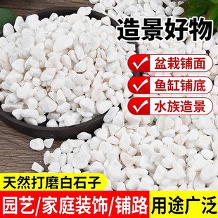 白石子白石头白色鹅卵石景观庭院铺路庭院装饰鱼缸造景阳台装饰