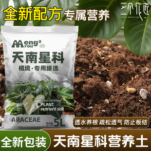 天南星植物土热植专用营养土大颗粒龟背竹秋海棠海芋蔓绿绒星科土