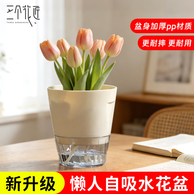 自吸水懒人水培花盆吊兰绿萝文竹水仙树脂免浇水桌面盆栽透明盆