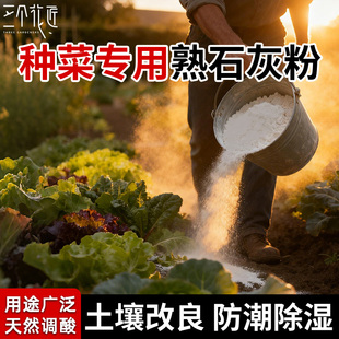 种菜专用熟石灰粉消毒干燥剂除湿防潮树木刷白净水改良土壤防霉