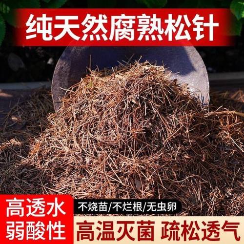 纯松针腐熟纯天然腐殖土发酵垫材君子兰花专用土养花通用营养土